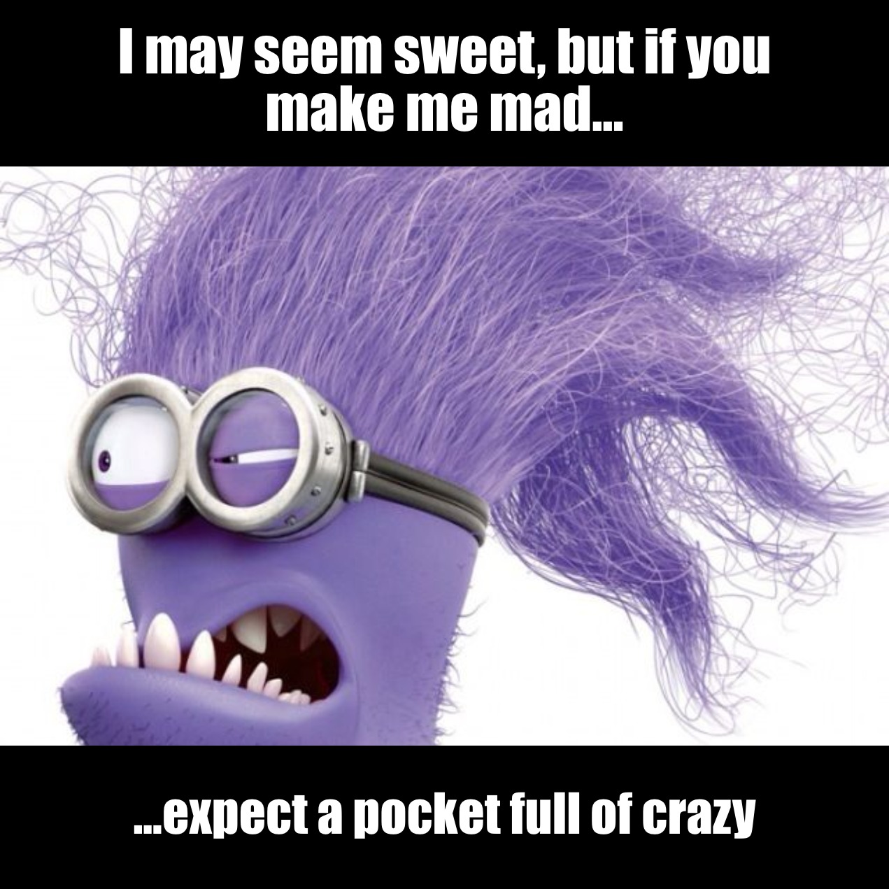 Expect a pocket full of crazy