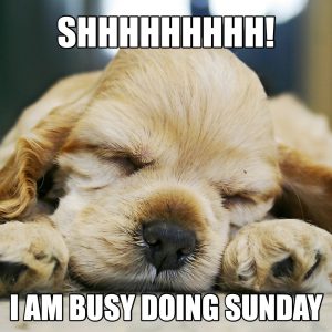 Sunday memes